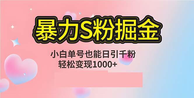 单人单机日引千粉，变现1000+，S粉流量掘金计划攻略-航海圈