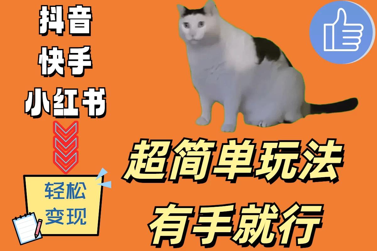超简单玩法，有手就行，靠猫咪视频日入500+-航海圈