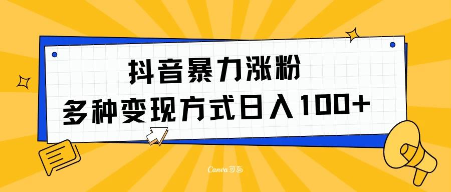 抖音暴力涨粉：多种方式变现 轻松日入100+-航海圈