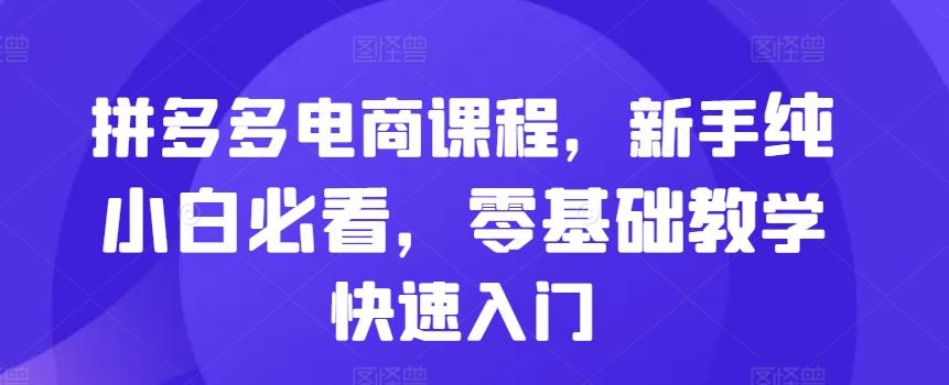 拼多多电商课程，新手纯小白必看，零基础教学快速入门-航海圈