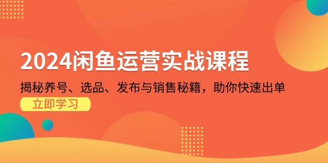 2024闲鱼运营实战课程：揭秘养号、选品、发布与销售秘籍，助你快速出单-航海圈