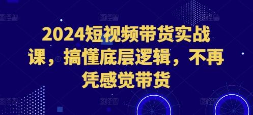 2024短视频带货实战课，搞懂底层逻辑，不再凭感觉带货-航海圈