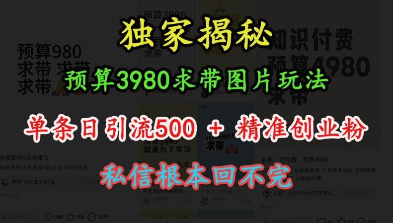 预算3980求带 图片玩法，单条日引流500+精准创业粉，私信根本回不完-航海圈