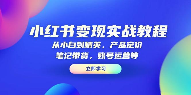 小红书变现实战教程：从小白到精英，产品定价，笔记带货，账号运营等-航海圈