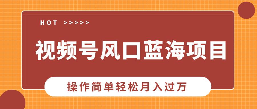 视频号风口蓝海项目，中老年人的流量密码，操作简单轻松月入过万-航海圈