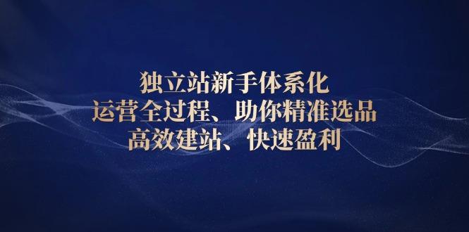 独立站新手体系化 运营全过程，助你精准选品、高效建站、快速盈利-航海圈