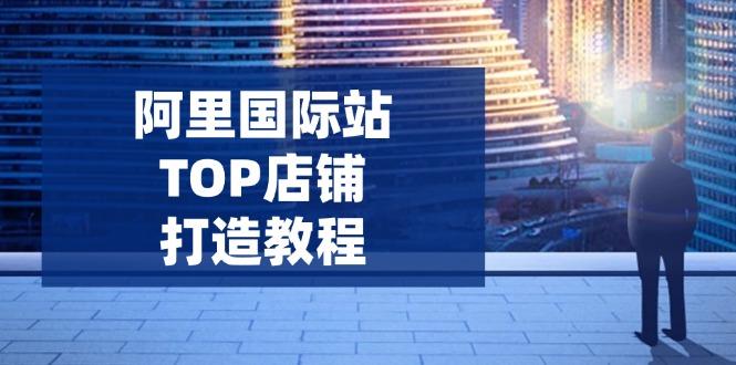阿里国际站TOP店铺打造教程：涵盖平台到高阶，解决运营难题，提升询盘-航海圈