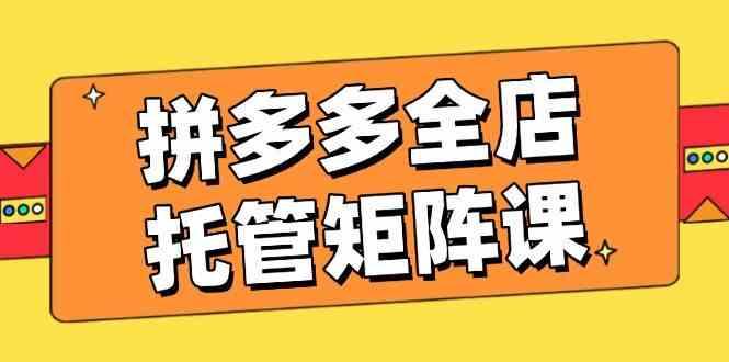 拼多多全店托管矩阵课，盈利动销玩法，高效计划设置，提升店铺效益-航海圈