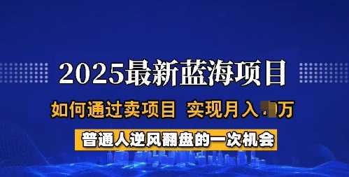 2025蓝海项目，普通人如何通过卖项目，实现月入过W，全过程【揭秘】-航海圈