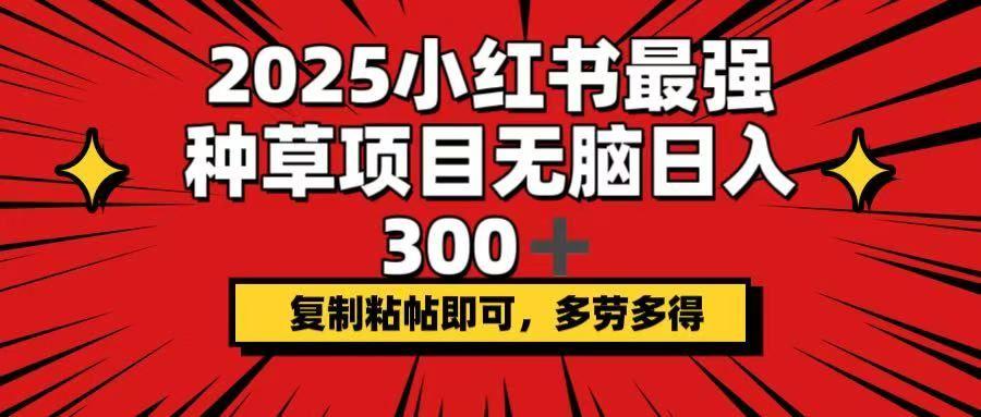 （14375期）2025小红书最强种草项目，无脑日入300+，复制粘帖即可，多劳多得-航海圈