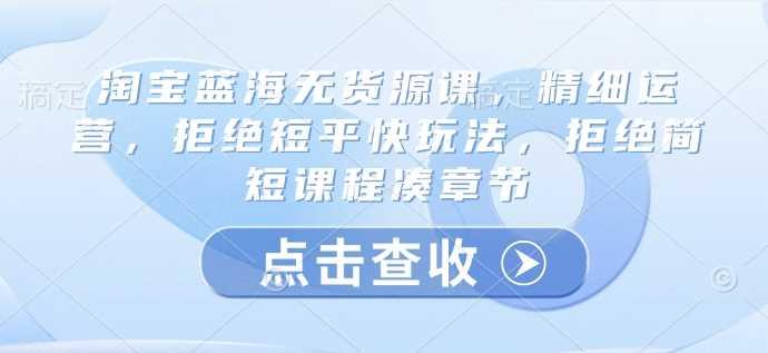 淘宝蓝海无货源课，精细运营，拒绝短平快玩法，拒绝简短课程凑章节-航海圈