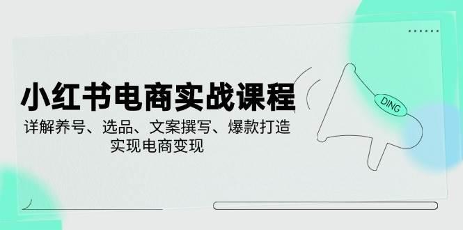 小红书电商实战课程，详解养号、选品、文案撰写、爆款打造，实现电商变现-航海圈