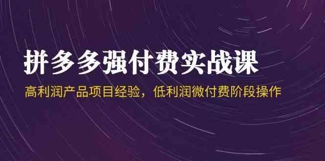 拼多多强付费实战课-44期，高利润产品项目经验，低利润微付费阶段操作-航海圈