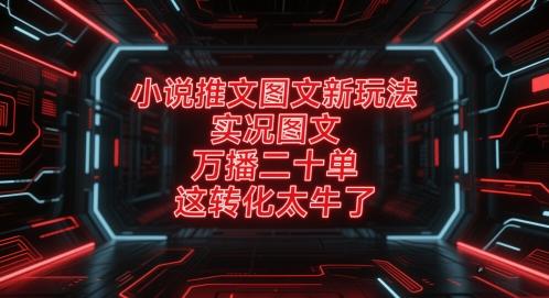 小说推文图文新玩法，实况图文，万播二十单，这转化太牛了！-航海圈