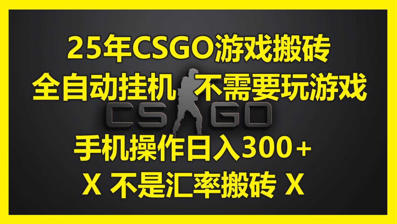 （14902期）25年CSGO游戏搬砖，全自动挂机，不需要玩游戏，手机操作日入300+。(不…-航海圈