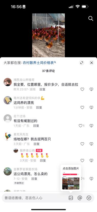 图片[2]-抖音上看到的卖家禽散养鸡
什么拍摄技….-网创风向标论坛-网络创业-网创圈