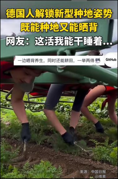 把晒背和除草结合起来，做养..#风向标-搞钱风向标论坛-航海社群内容-航海圈