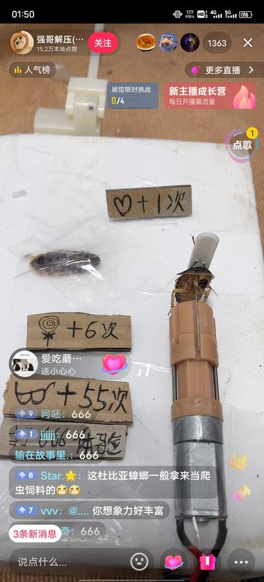 最近这种娱乐直播挺火的，礼..#风向标-航海圈