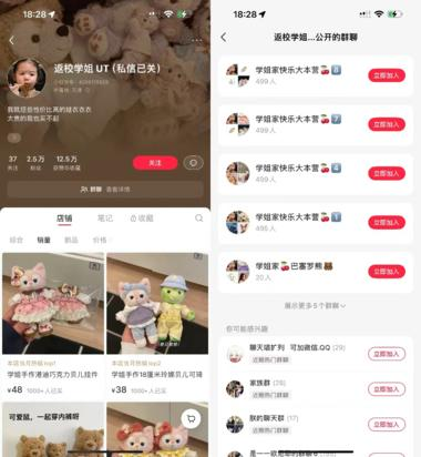 小红书电商：迪士尼玩偶 衣..#风向标-航海圈